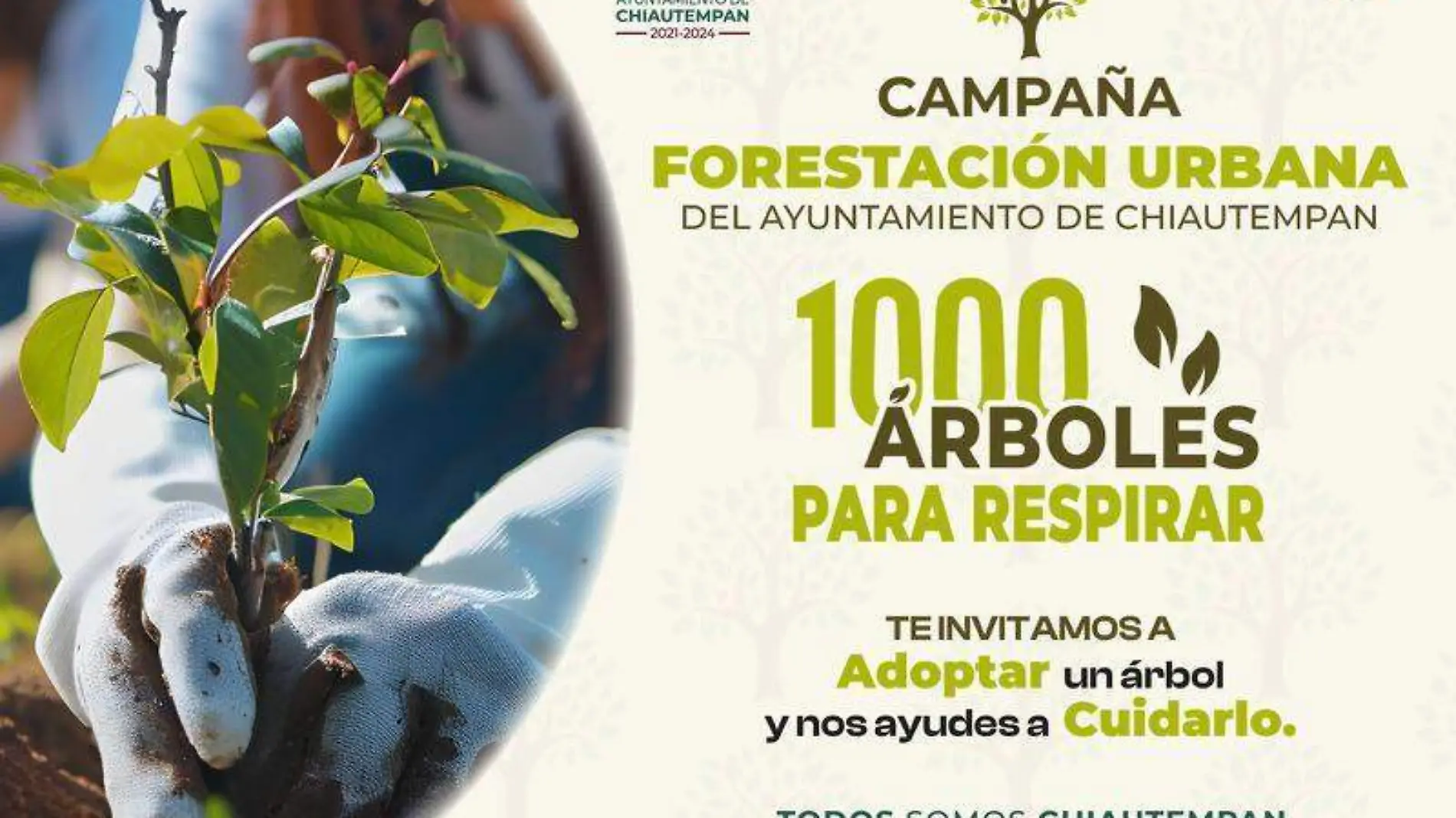 campaña reforestación 3